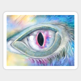 Iridescent hawk eye Magnet